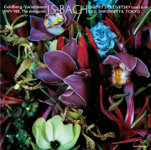 大狼狗卡住我的子宫
